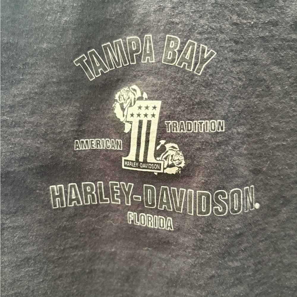 ๐๏ธ Harley-Davidsonยฎ Eagle American Original Tampa Bay, FL Dealer Black Tee Med - Picture 3 of 8